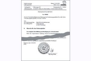 Federnsatz Gutachten Apex 6020101-6020102